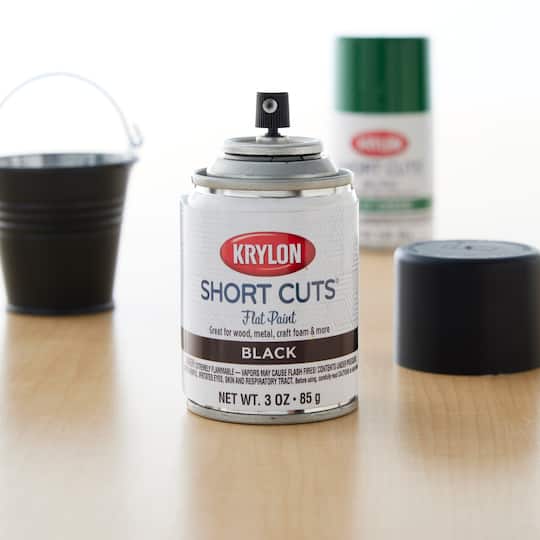 Krylon® Short Cuts® Flat Enamel